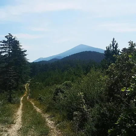 Le Silence Du Ventoux